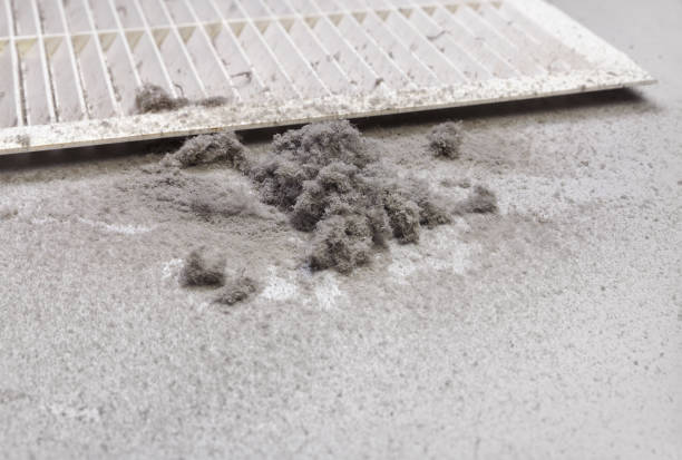 Best Ductwork Cleaning Services  in Roebling, NJ