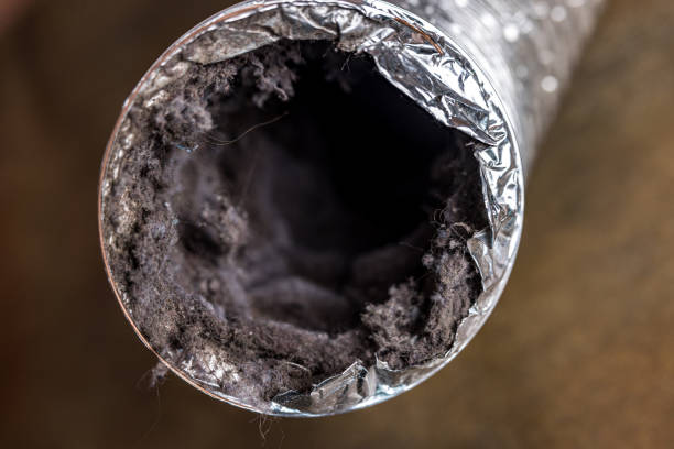 Best Air Duct Cleaning Near Me in Roebling, NJ