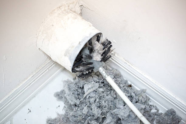 Best Emergency Air Duct Cleaning  in Roebling, NJ